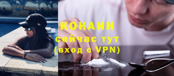 прущие грибы Беломорск