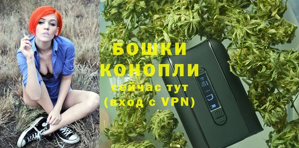 прущие грибы Беломорск