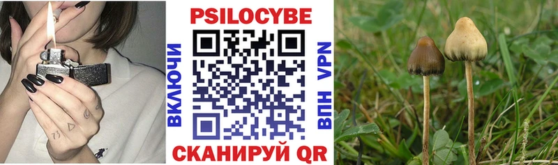 Галлюциногенные грибы Psilocybine cubensis  Йошкар-Ола 